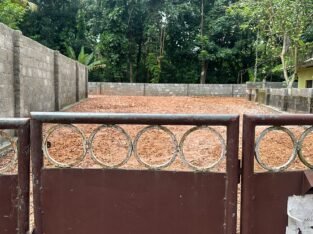 TVM Muttada Vayalikkada 8 cent house plot