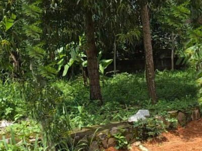 TVM near Kawdiar Palace 15 cents of house plot