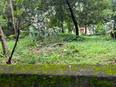 Tvm Kawdiar near Palace 10 cent house plot