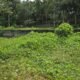 Tvm Karyavattom Pullanivila 1.25 acres of land